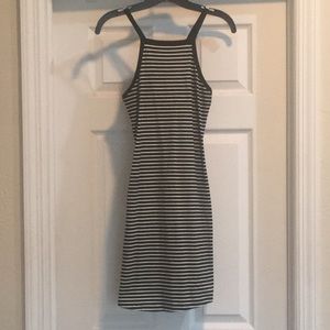 Express knit dress